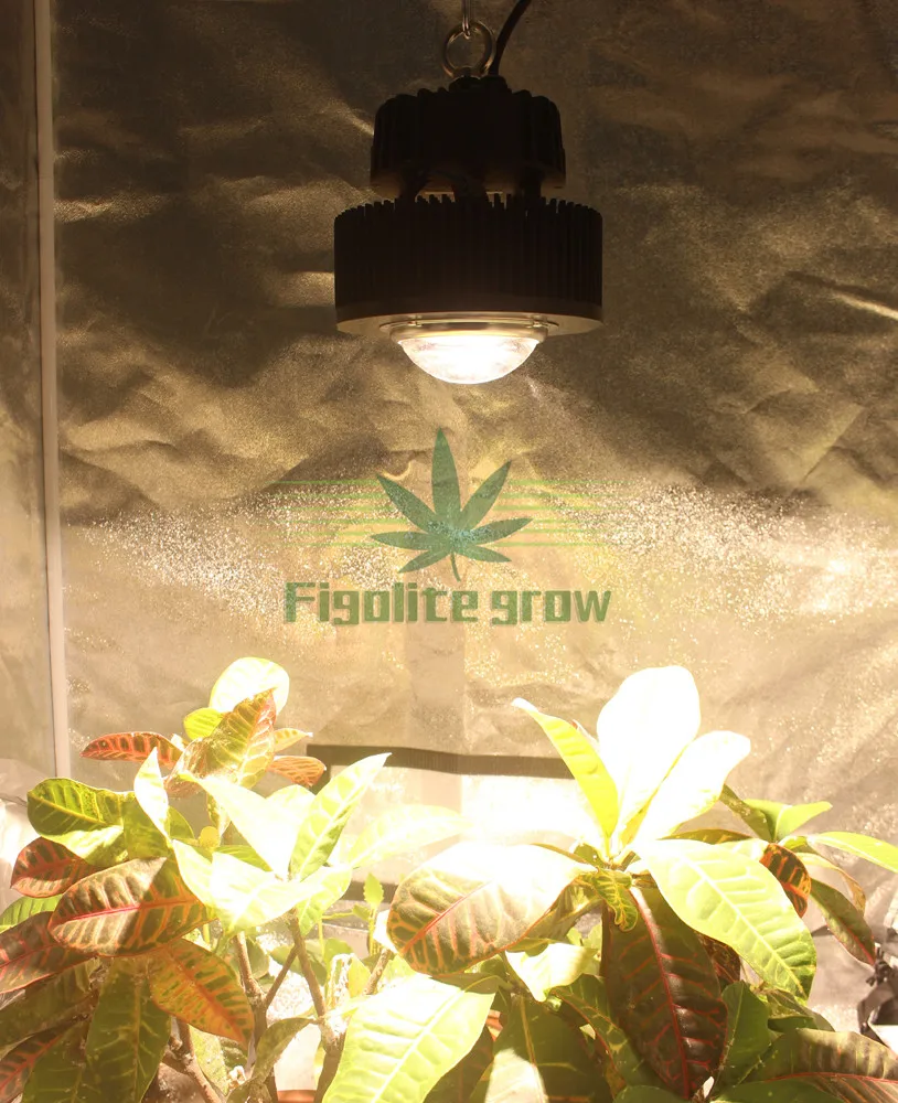 Hydroponic 80*80*160cm Grow Kit System for Indoor use