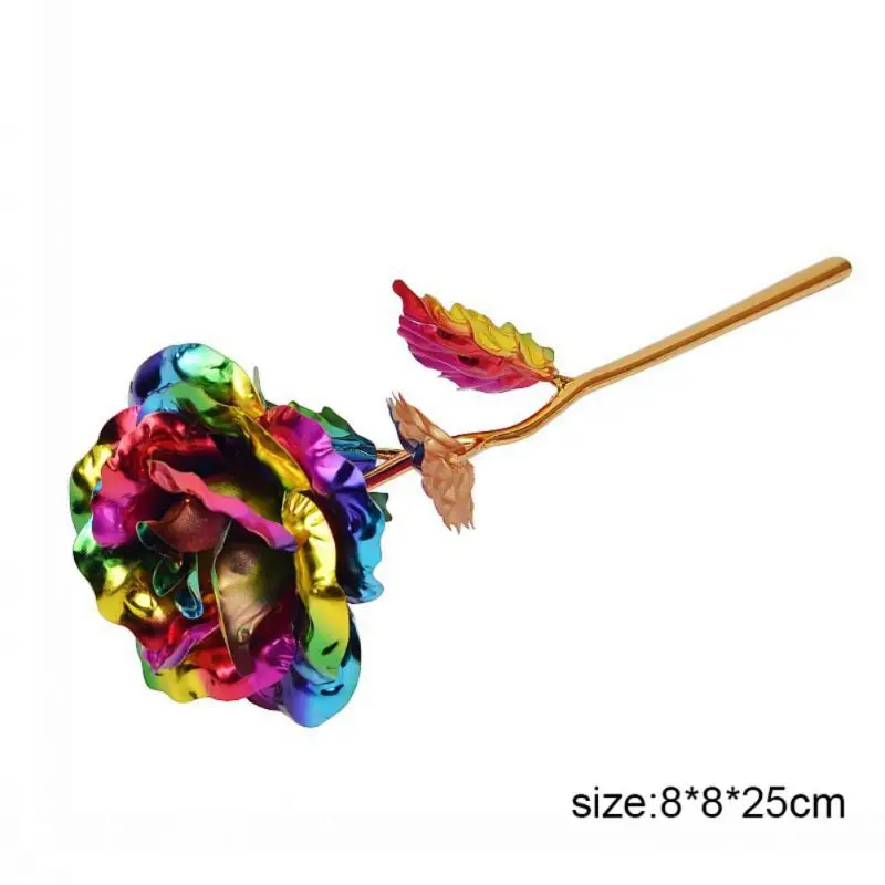 ED0253 (6)