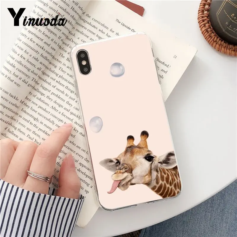 Wear Glasses Giraffe