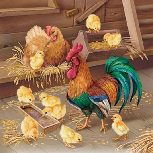 Full-Square-Round-Drill-5D-DIY-Diamond-Painting-cock-Family-Embroidery-Cross-Stitch-Mosaic-Home-Decor.jpg_640x640