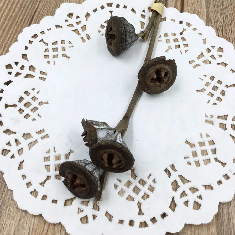 cruciferous fruits Материал для изготовления свечей Life Wood Cross фруктовый материал для ручной работы сделай сам восковые свечи velas de cera золотые цветы - Цвет: cruciferous fruits