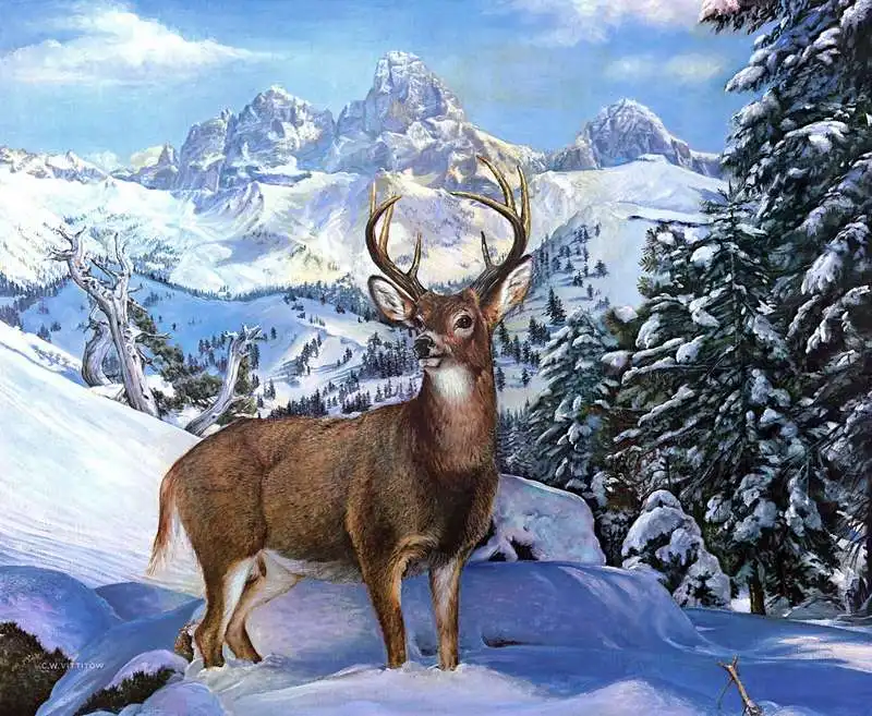 весенний гон. олень в лесу. густой зелёный ельник у дороги бунин. олень на гуще. олень символ.