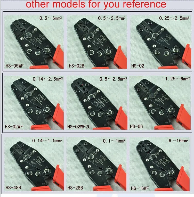 HS model