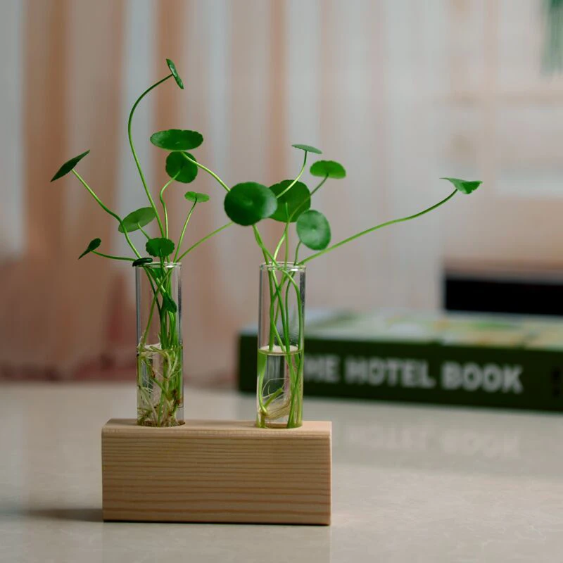 

2pcs Crystal Glass Test Tube + Vase Flower Pots with Brush +1pc Wood Stand Base Hydroponic Plants Home Office Decoration