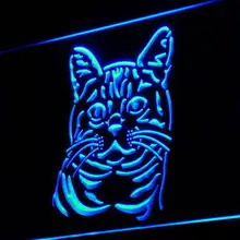 I993 американская короткошерстная кошка Китти магазин Pet света знак включения/выключения 20+ Цвета 5 размеров