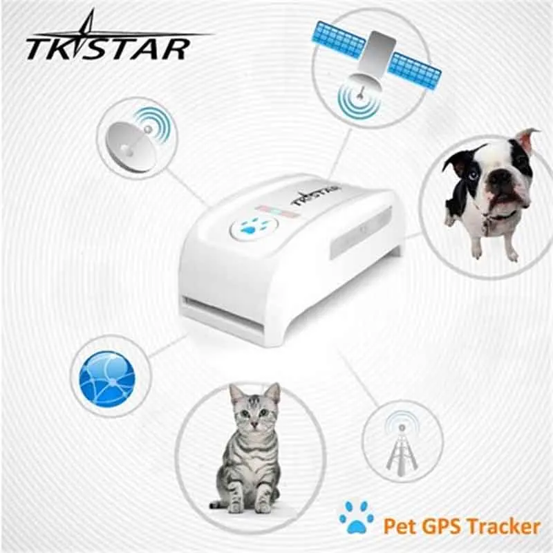 Mini TKSTAR Pet Tracker With Collar GSM/GPRS Positioning Real Time GPS Tracker Dog Pet TK909 LK909 P Dog/Cat /IOS /Andriod App