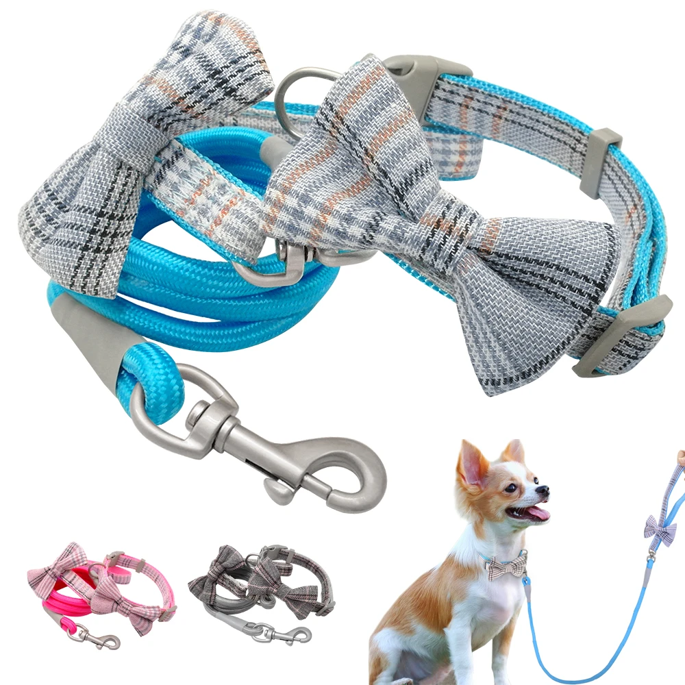 boy dog collars