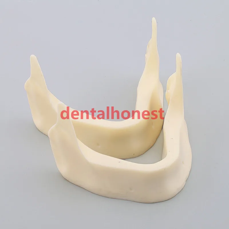 

2019 high quality 2pcs Dental Model M2025 - The Development of Jaw Lower dental model