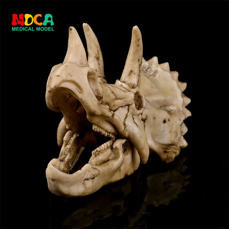 

Resin skull skull Triangle dragon office model dinosaur skull model KLGT008