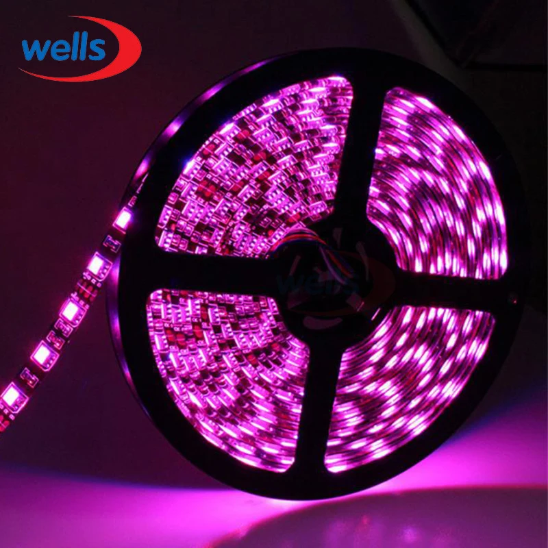 DC12V 5m 5050 LED Strip 60LED/M White Warm White RGB Black PCB 5050 SMD LED Strip Waterproof IP65/Waterproof IP20