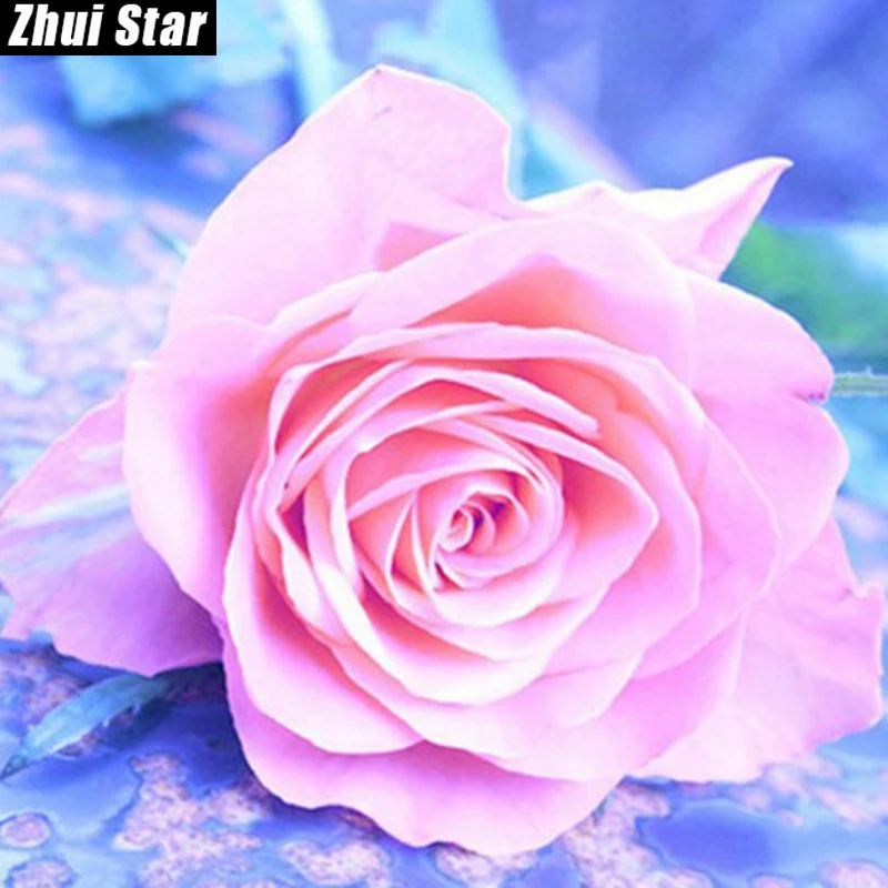 

New Full Square Diamond 5D DIY Diamond Painting "Pink roses" Embroidery Cross Stitch Rhinestone Mosaic Painting Home Decor Gift