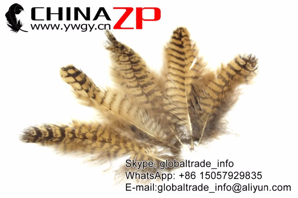 owl plumes (2)