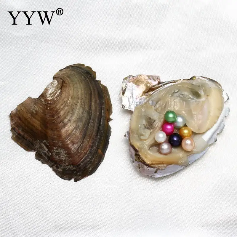 20 шт./лот 7 8 мм пресноводная вакуумная упаковка с жемчугом Love Wish Oyster круглые