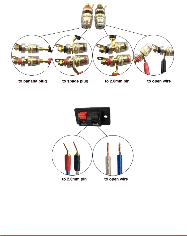 connetS2