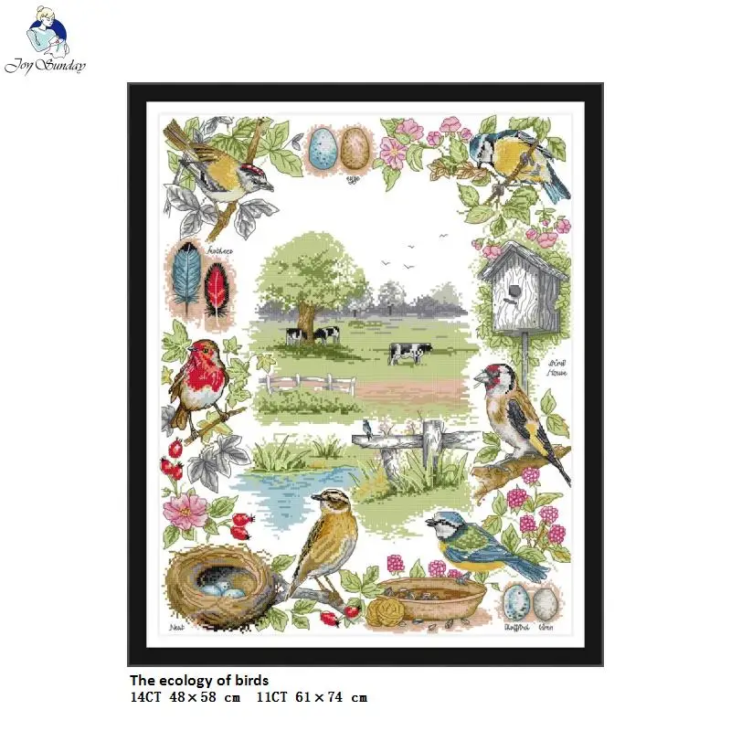 

The Ecology of Birds Patterns,Counted Print On Canvas DMC Cross Stitch kits,Embroidery Needlework Set,Handmade Crafts Home Decor