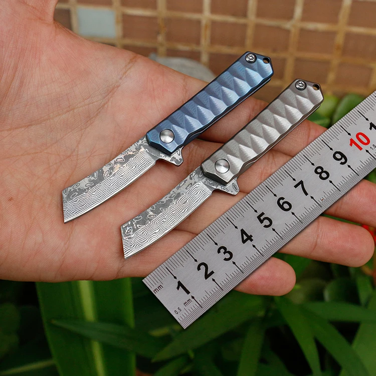 

Freewolf Small Flipper Folding Knife VG10 Damascus Steel Blade TC4 Titanium Alloy Handle Ball Bearing H0163