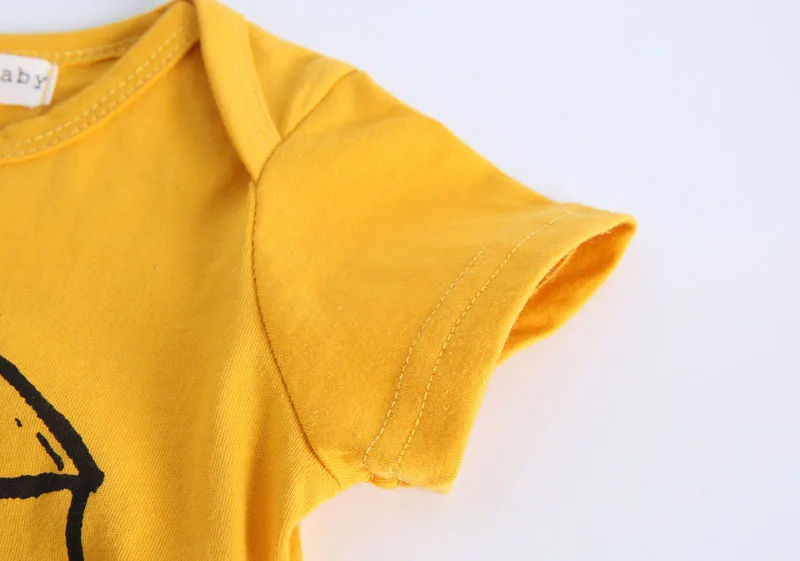 4232336004_1727784565