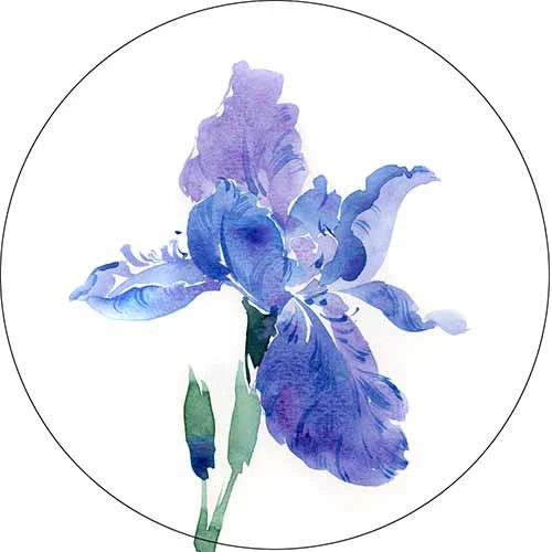 paper iris flower magdalene project org paper iris flower