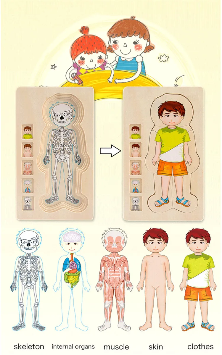 Развивающие игрушки деревянные человеческого тела головоломки мальчики девочки тела Структура Деревянные Детские пазлы детские игрушки