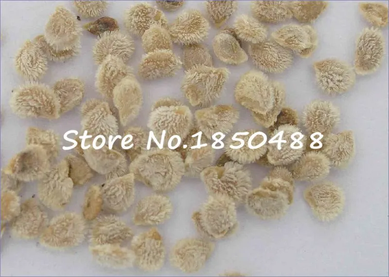 HTB1kt5lJXXXXXbfXXXXq6xXFXXX5.jpg?size=9