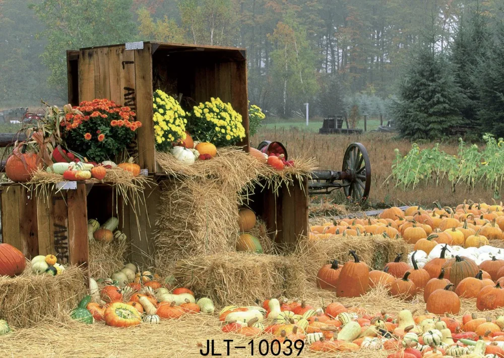 

SJOLOON 7x5ft relaxed rural theme background baby photo backdrops pumpking and flowers photo background for photo studio vinyl