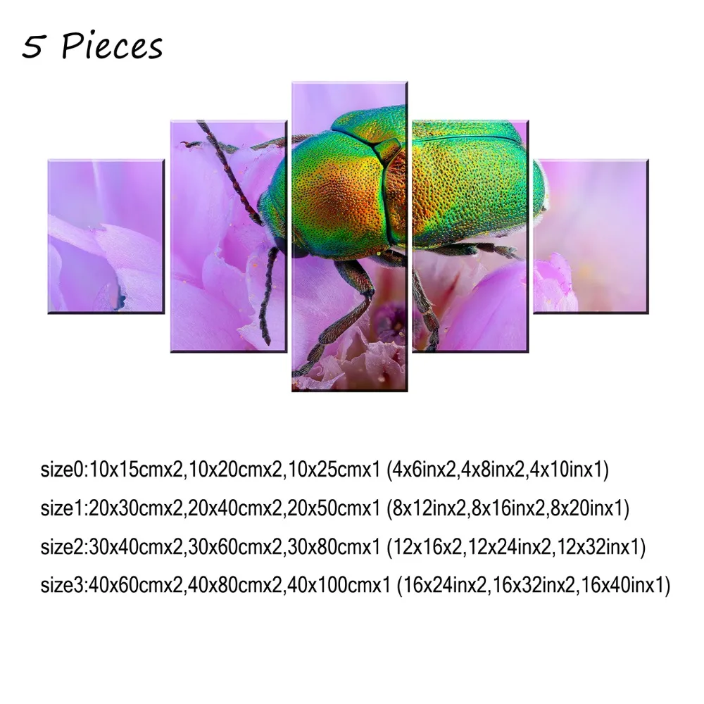 05P-30x40