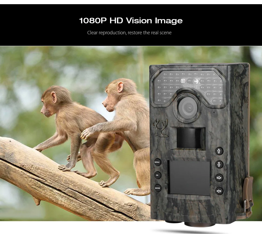 

Wireless security hunting PHOTOS Traps camera BL280A with 60 Wide Degree scouting thermal vision night wildcamera for hunting
