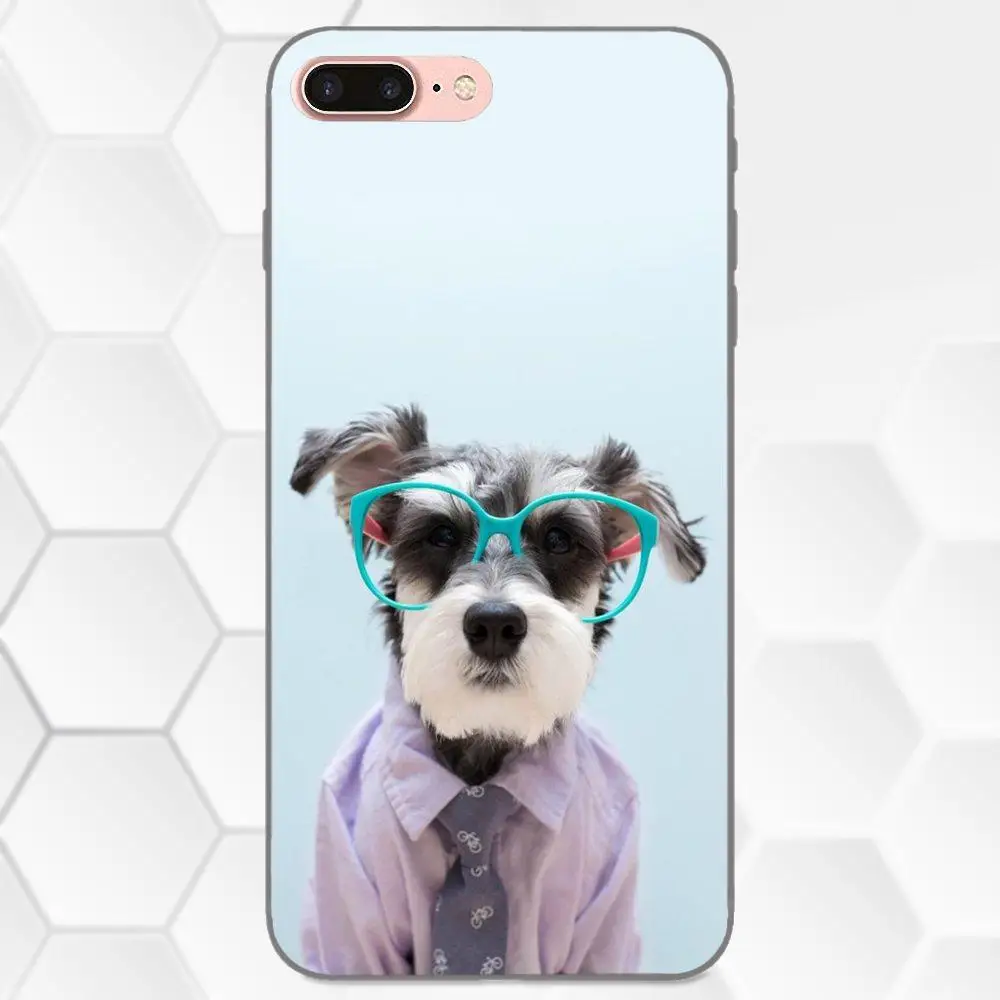 Чехлы с изображением милой собаки для Galaxy C5 C7 J1 J2 J3 J330 J5 J6 J7 J730 2017 Ace Core Duo Max Mini Plus Prime