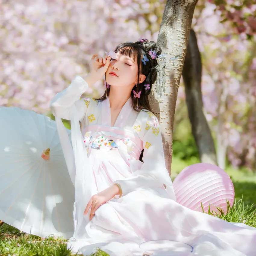 Hanfu Национальный костюм Hanfu одежда женская традиционная китайская одежда для женщин древняя китайская Фея костюмы для косплея DQS1643