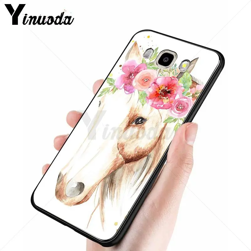 horse animal