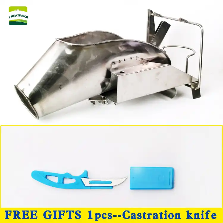 Castration Time Machine