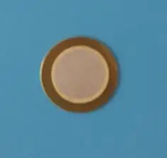 

In Parallel, the Diameter of the Ceramic Wafer Is 15mm and the Diameter of the Substrate Is 20mm.
