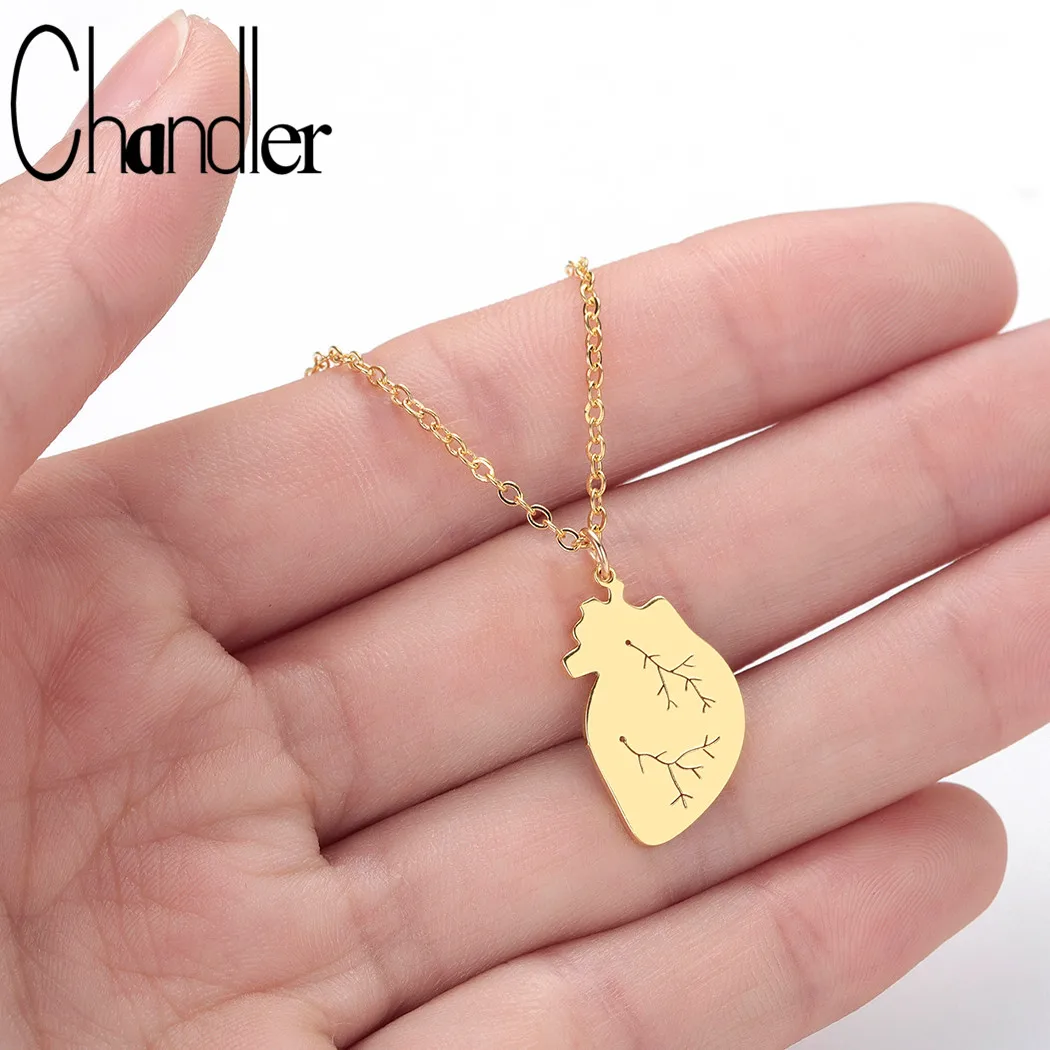 

Chandler Stainless Steel Human Heart Necklace For Lovers Medical Cardiology Jewelry Science Biology Choker Doctor Nurse Gift