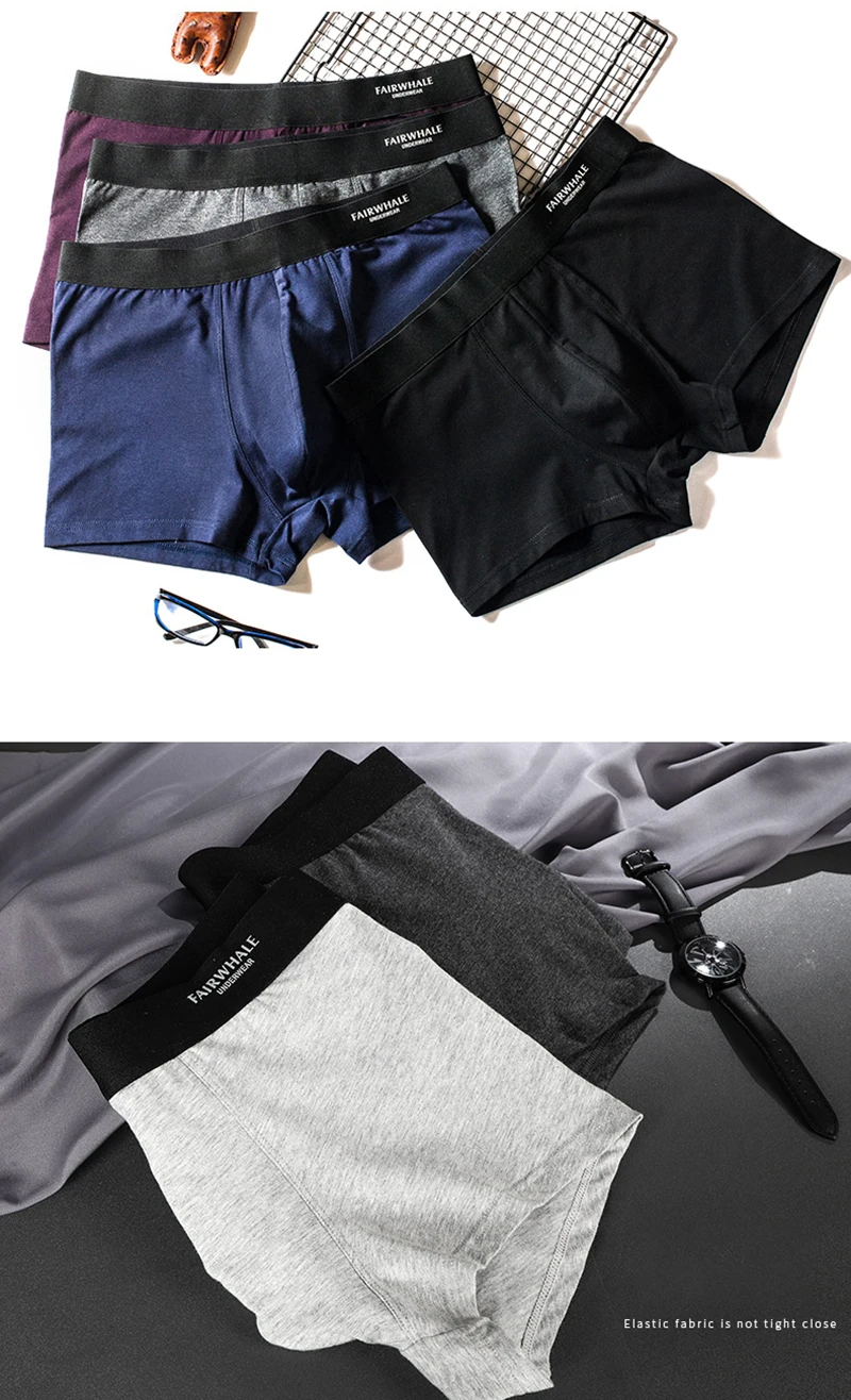 boxer (9)