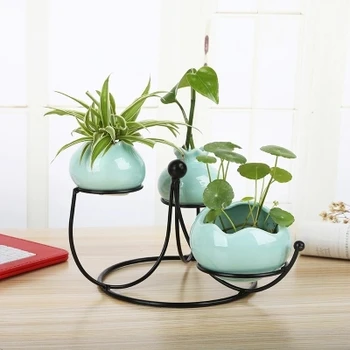

Creative ceramic hydroponic plant vase simple new small fresh green flower home decoration ornaments mini