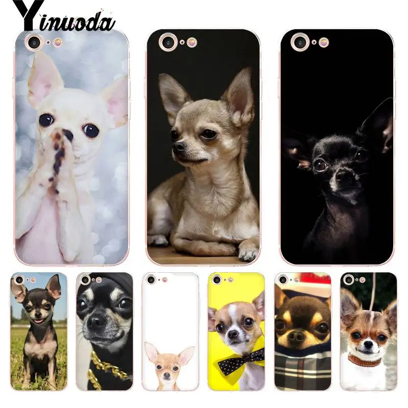 

Yinuoda For iPhone 7 6 X Case Animal Chihuahua Dog Design High Quality Phone Case for iPhone 8 7 6 6S Plus X 5 5S SE 5C XS XR