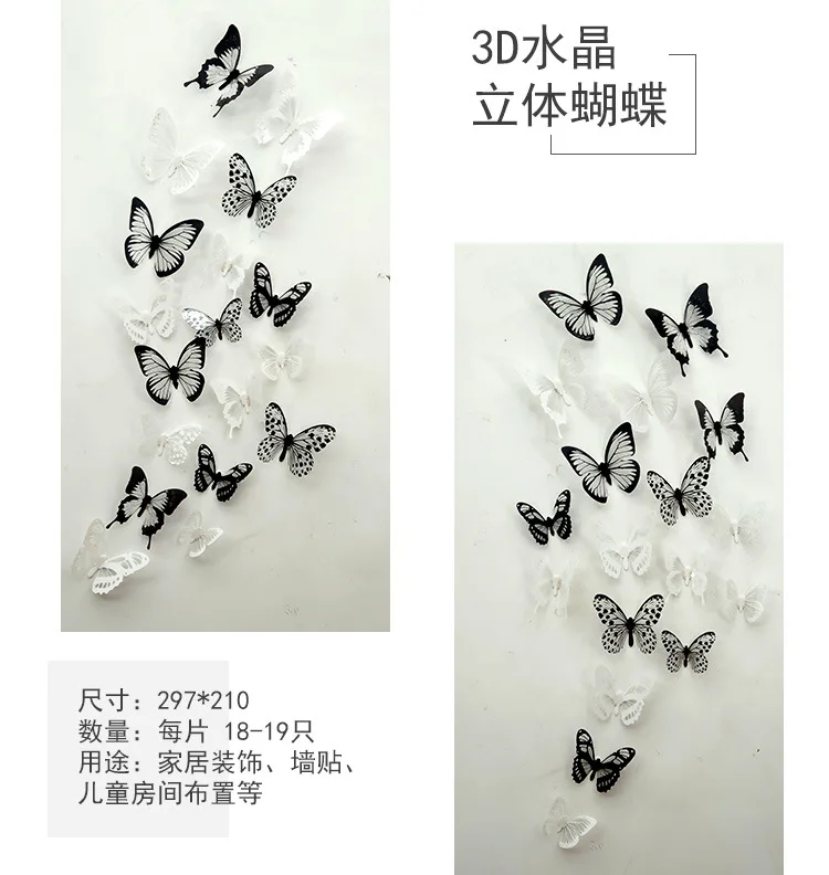 蝴蝶_09.jpg