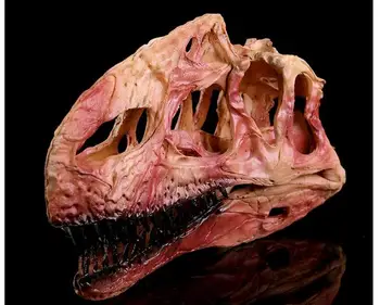 

Single ridge bibcock bone resin dinosaur Skull-headed animal Research teaching creativity Home head statue home decoration