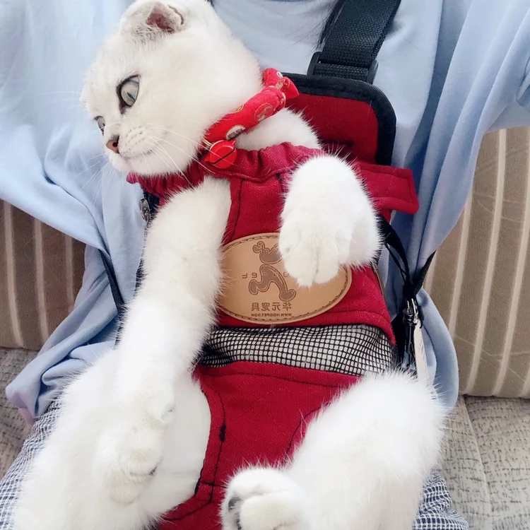 Переносная сумка на двух ремнях для кошек