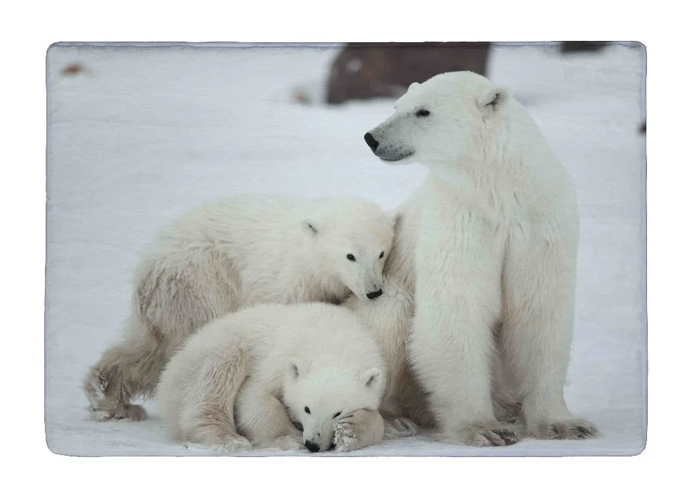 Real Polar Bear Rug Rugs Ideas Blondbearrug Jpg 28988 Bytes