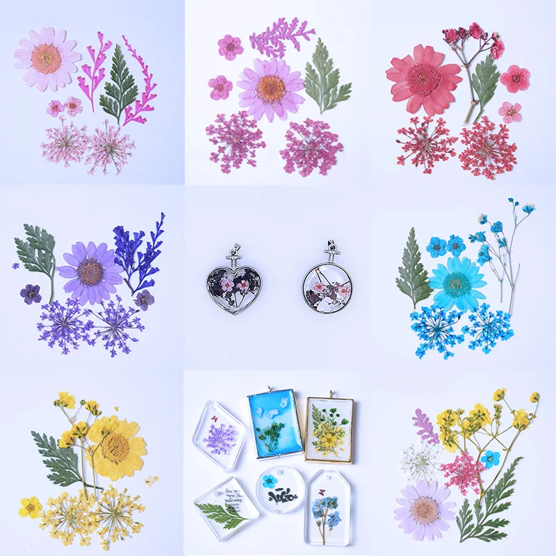 

QIAOQIAO DIY Pressed Flowers small Dried Flowers Scrapbooking dry DIY Preserved Flower Decoration Home Mini bloemen flores seca