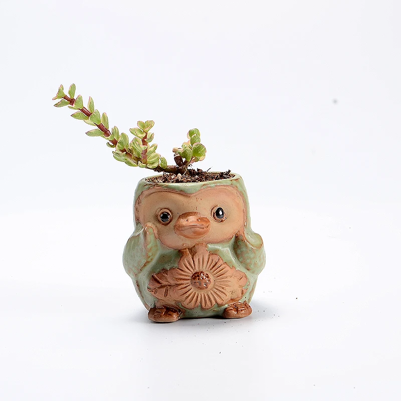 4 шт./компл. мультфильм Pengui-в форме черепа цветочный горшок для суккулентов мясистые кашпо небольшой керамическая ваза для дома/горшок-плошка