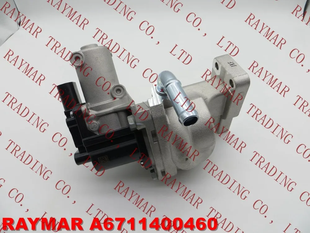 Ssangyong egr remover