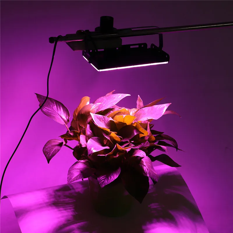 Mising светодиодный свет для выращивания полного спектра 50 Вт/100 Вт монолитный блок Светодиодов Прожектор ac220в для растений Крытый Открытый гидропонная теплица