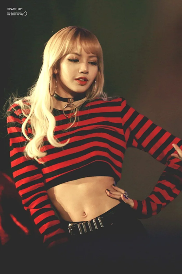 Blackpink Trendy Crop Top