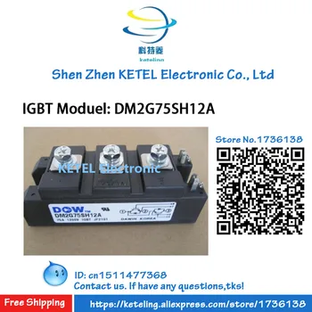 

DM2G100SH12AE / DM2G75SH12AE / DM2G50SH06E / DM2G150N4S / IGBT MODUEL