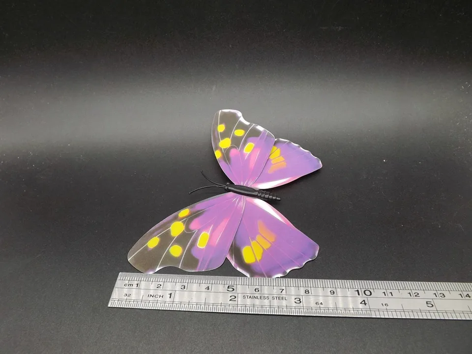 I241-Butterfly (10)