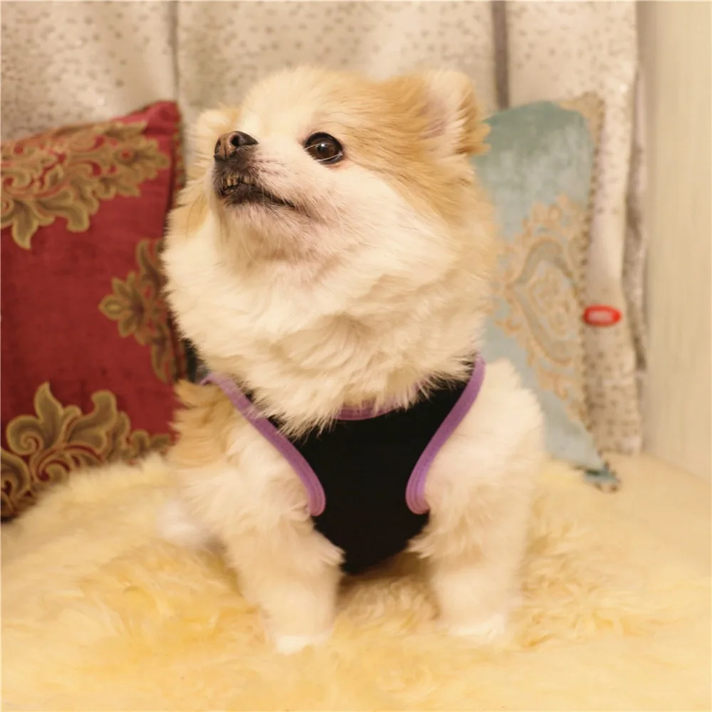 Title 123, Pet Dog Clothes for Dogs Clothing for Small Dog...