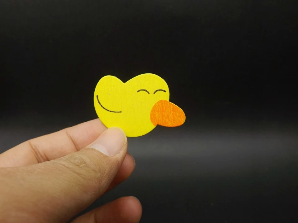 I407-Duck (1)