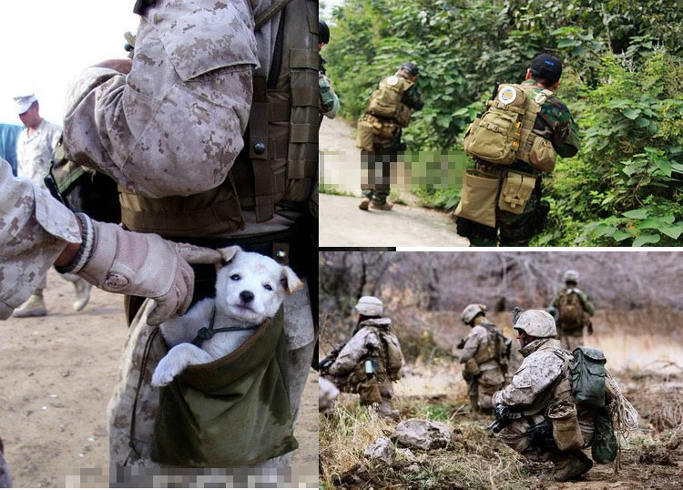 O1CN0127xl7yPLYB2Q94j_!!456907864